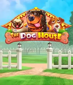 Experience Pragmatic Play's The Dog House adventure, featuring an adorable experience through lovable dogs. Enjoy features such as sticky wilds, designed for providing entertaining gameplay. Perfect for pet lovers an amusing theme and the opportunity to win big.