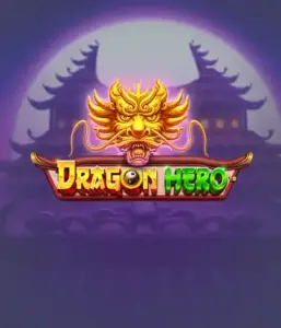 Join a mythical quest with Dragon Hero Slot by Pragmatic Play, highlighting breathtaking graphics of mighty dragons and epic encounters. Explore a world where fantasy meets excitement, with featuring enchanted weapons, mystical creatures, and treasures for a thrilling adventure.